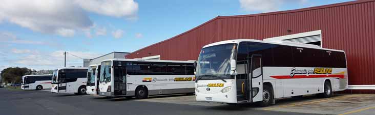 Tasmanian Redline depot 135, 52 & 74